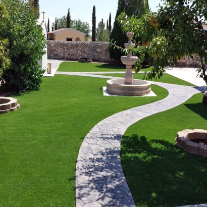 Grass Turf Neptune Beach, Florida Design Ideas, Backyard Designs