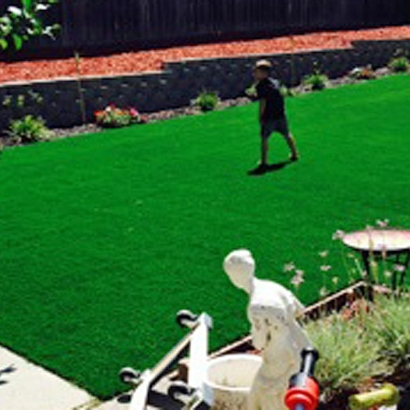 Grass Turf Palatka, Florida Landscaping, Beautiful Backyards