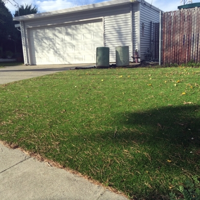 Green Lawn Black Diamond, Florida Backyard Playground, Front Yard