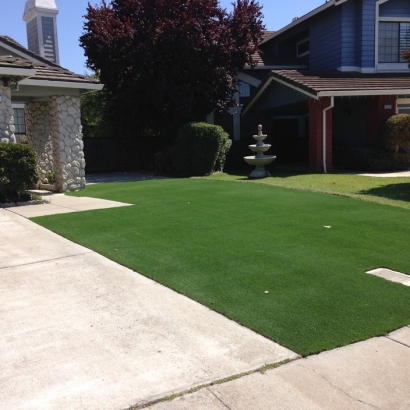 Green Lawn Longwood, Florida Lawn And Garden, Small Front Yard Landscaping