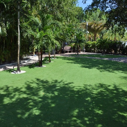 Green Lawn Midway, Florida Lawn And Landscape, Commercial Landscape