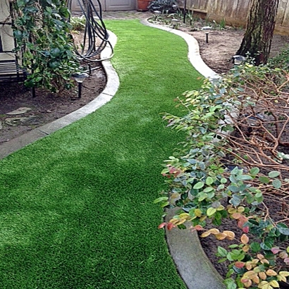 How To Install Artificial Grass Citrus Hills, Florida Landscape Design, Backyard