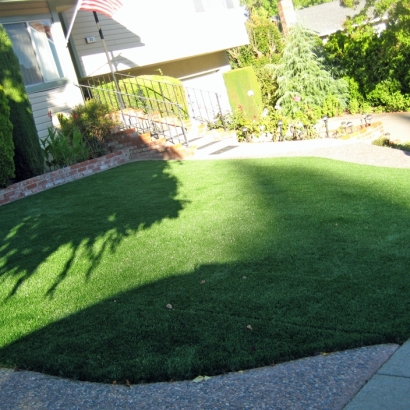 Installing Artificial Grass Istachatta, Florida Lawns, Front Yard Ideas