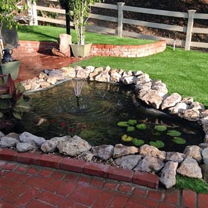 Lawn Services Lawtey, Florida Backyard Playground, Backyard Garden Ideas