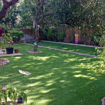 Lawn Services Penney Farms, Florida City Landscape, Backyard Design