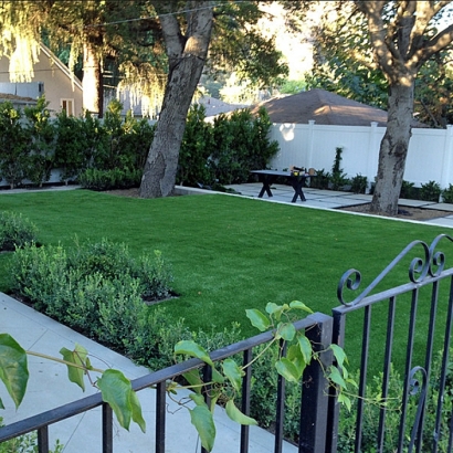 Lawn Services Pierson, Florida Lawn And Garden, Front Yard