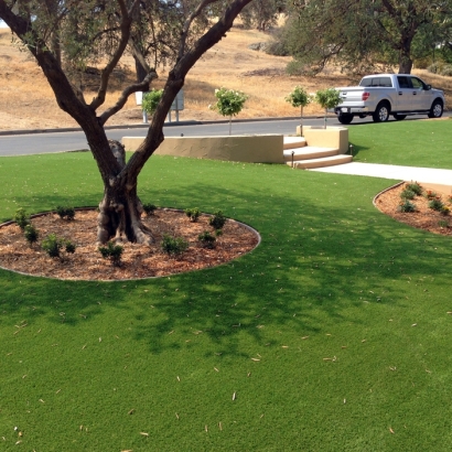 Lawn Services Starke, Florida Landscape Rock, Front Yard Design