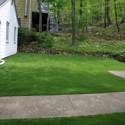 Outdoor Carpet Pine Island, Florida Roof Top, Front Yard Landscaping