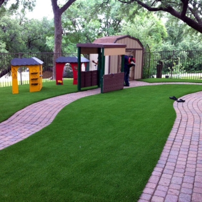 Synthetic Grass Cost Altoona, Florida Lawn And Landscape, Commercial Landscape