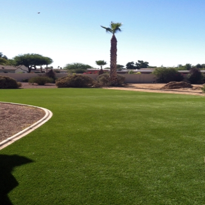 Synthetic Grass Cost Branford, Florida Landscaping, Backyard Designs