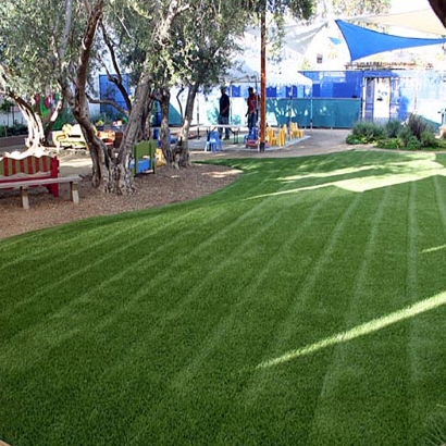 Synthetic Grass Cost De Leon Springs, Florida Garden Ideas, Commercial Landscape