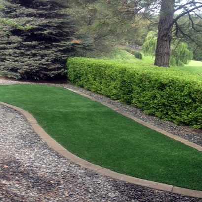 Synthetic Grass Cost Four Corners, Florida Landscaping