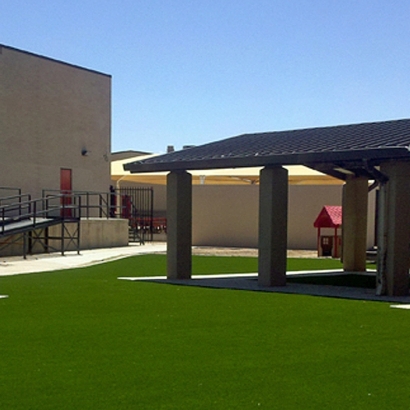 Synthetic Grass Cost Worthington Springs, Florida Roof Top, Commercial Landscape