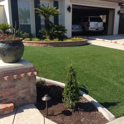 Synthetic Grass Cost Yalaha, Florida Lawn And Landscape, Front Yard Ideas