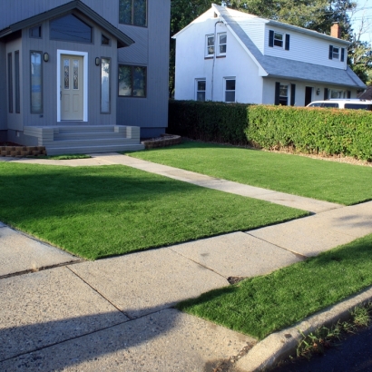 Synthetic Grass High Point, Florida Landscape Photos, Landscaping Ideas For Front Yard