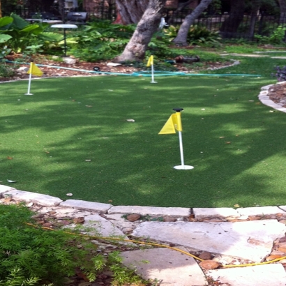 Synthetic Grass Lake Mack-Forest Hills, Florida City Landscape, Backyard Designs