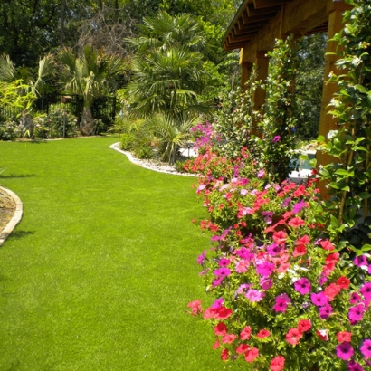 Synthetic Grass North DeLand, Florida Backyard Playground, Backyards