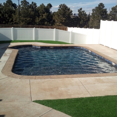 Synthetic Grass Port Saint John, Florida Backyard Playground, Backyard Pool