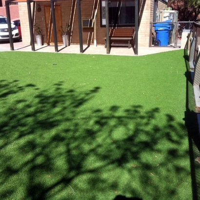 Synthetic Grass Steinhatchee, Florida Roof Top, Backyard Landscaping Ideas