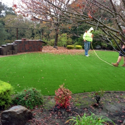 Synthetic Grass Tildenville, Florida Design Ideas, Backyard Landscaping