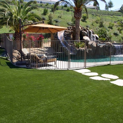 Synthetic Grass West DeLand, Florida Roof Top, Swimming Pools