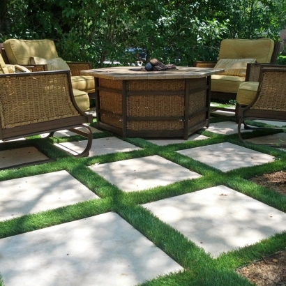 Synthetic Lawn Windermere, Florida Landscaping, Backyard Landscaping