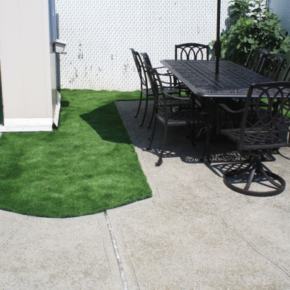 Synthetic Turf Chuluota, Florida Landscape Ideas, Backyard