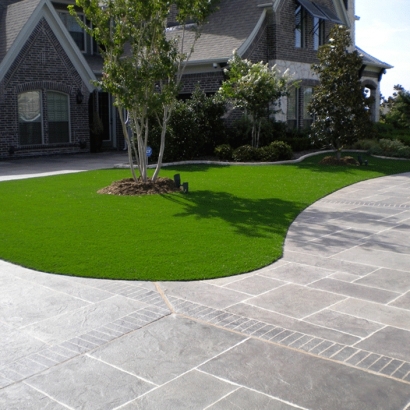 Synthetic Turf Flagler Beach, Florida Roof Top, Front Yard Landscape Ideas