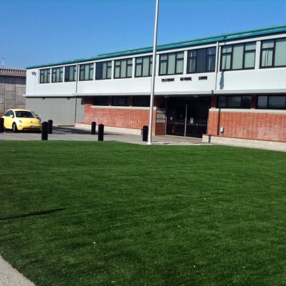 Synthetic Turf Fort White, Florida City Landscape, Commercial Landscape