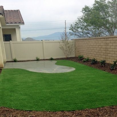 Synthetic Turf Geneva, Florida Landscape Photos, Backyards