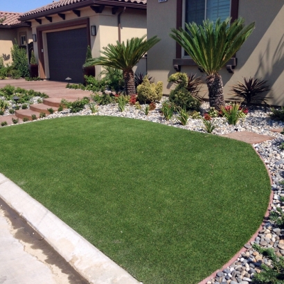 Synthetic Turf Howie In The Hills, Florida Landscape Design, Front Yard Landscape Ideas