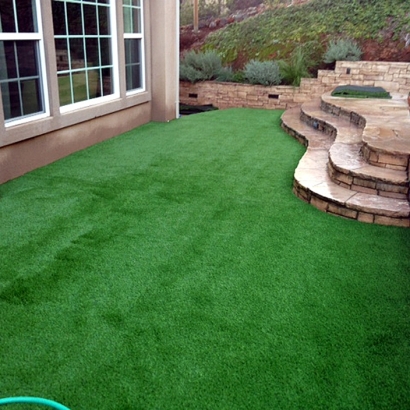 Synthetic Turf Lake Mary, Florida Lawns, Backyard Makeover