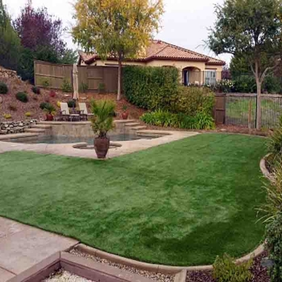 Synthetic Turf Mayo, Florida Garden Ideas, Backyard Makeover