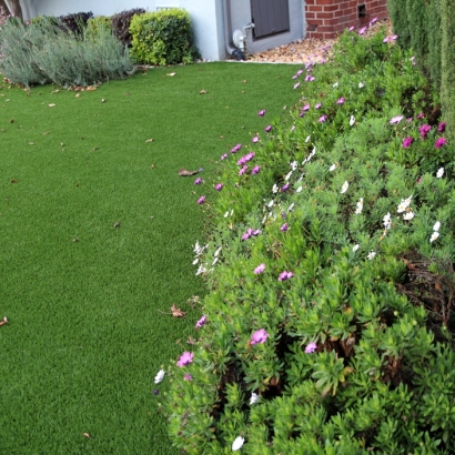 Synthetic Turf Ocala, Florida Landscaping, Front Yard