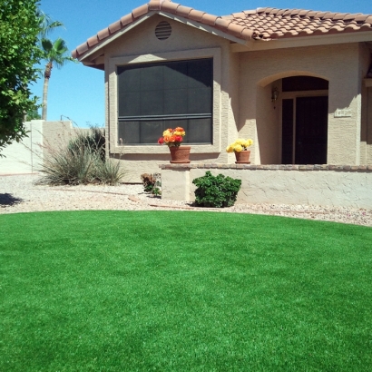 Synthetic Turf Supplier Holden Heights, Florida Gardeners, Front Yard Landscape Ideas