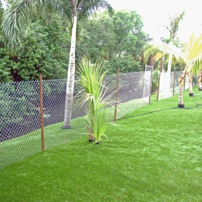 Synthetic Turf Supplier Lake Buena Vista, Florida Backyard Deck Ideas, Backyard Garden Ideas