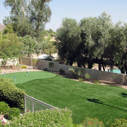 Synthetic Turf Supplier Lake Lindsey, Florida Garden Ideas, Backyard Makeover