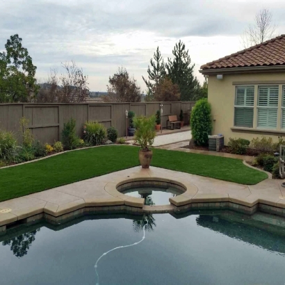 Synthetic Turf Supplier Samsula-Spruce Creek, Florida Landscaping, Pool Designs