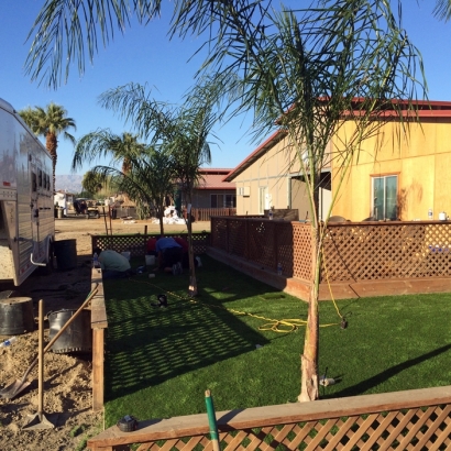 Synthetic Turf Supplier Tangelo Park, Florida Rooftop, Backyards