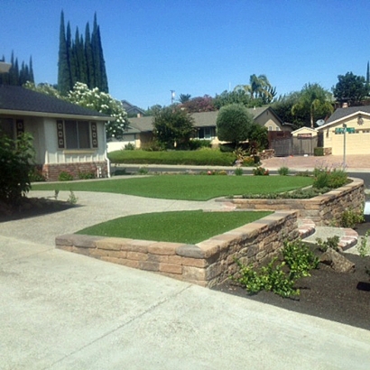 Synthetic Turf Supplier Titusville, Florida Landscaping, Front Yard Landscaping Ideas