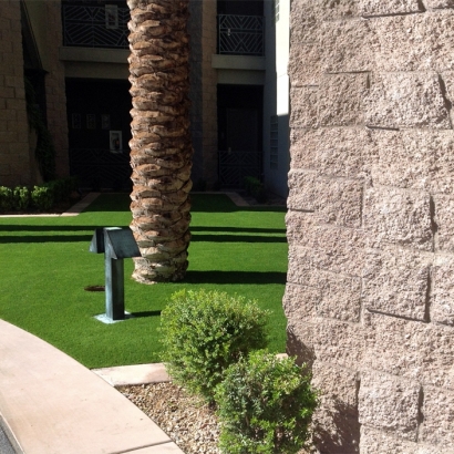 Synthetic Turf Supplier Umatilla, Florida City Landscape, Commercial Landscape