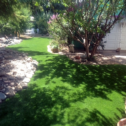 Synthetic Turf Wedgefield, Florida Landscaping Business, Backyard Design