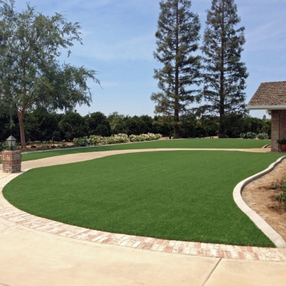 Turf Grass Archer, Florida Garden Ideas, Front Yard Landscaping