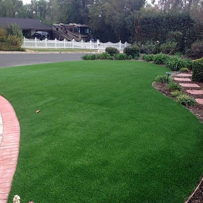 Turf Grass Brookridge, Florida Lawn And Landscape, Front Yard Landscaping Ideas