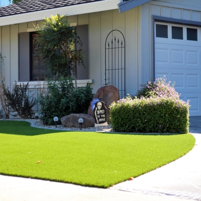 Turf Grass Citrus Springs, Florida Design Ideas, Front Yard Design