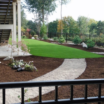 Turf Grass Micanopy, Florida Roof Top, Backyard Garden Ideas