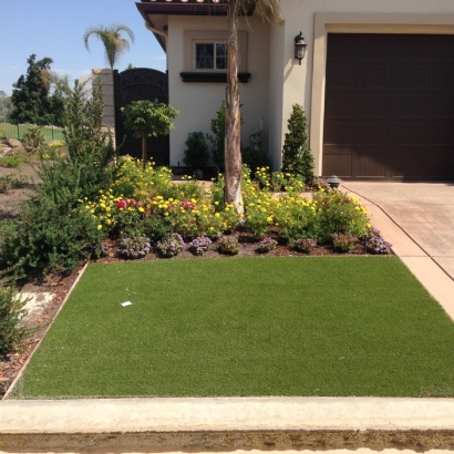 Turf Grass Orange Park, Florida Lawns, Front Yard Landscaping