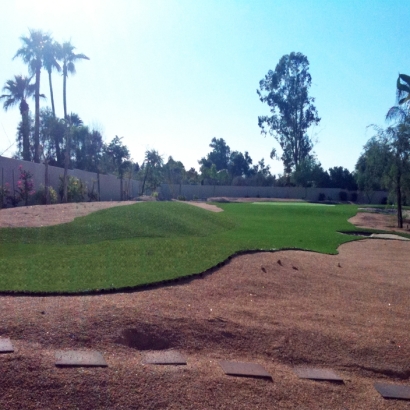 Turf Grass Orlovista, Florida Home Putting Green, Backyard Design