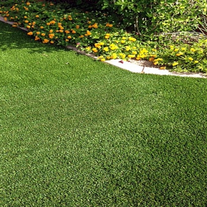 Turf Grass Spring Lake, Florida Landscape Design, Front Yard Design