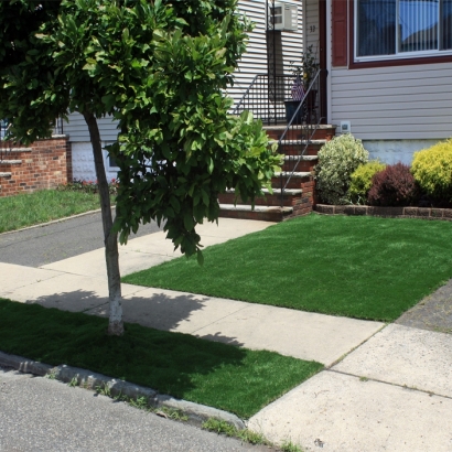 Turf Grass Zephyrhills North, Florida Gardeners, Landscaping Ideas For Front Yard